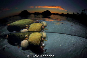 Evening pool of water...with rocks only mother nature cou... by Dale Kobetich 